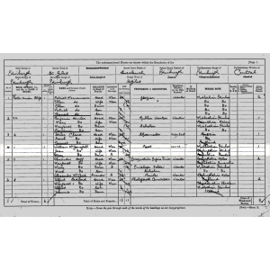 1901 Census