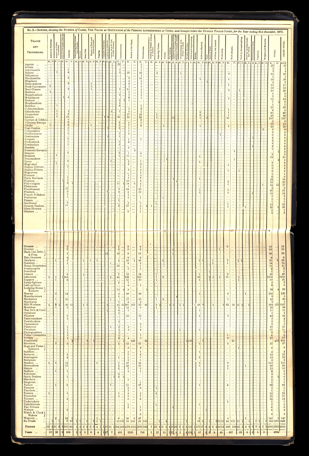 Dundee City Police Annual Criminal Returns 1876–77