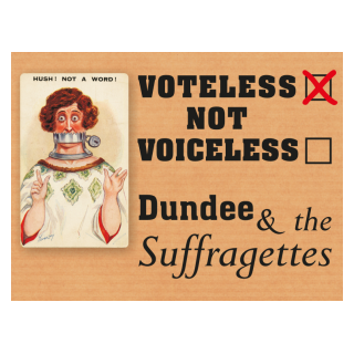 Voteless not Voiceless