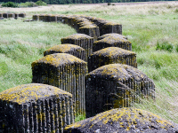 Coastal Defences in Tayport