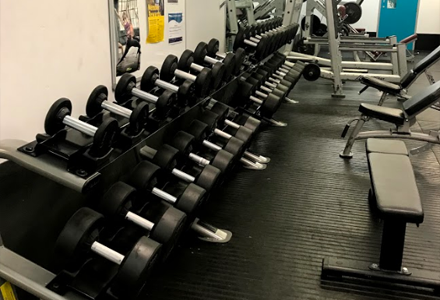 Free Weights