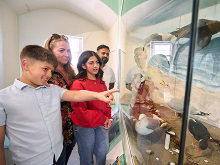 Broughty Life On Land