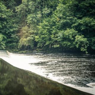 Professor Chris Whatley – Harvie’s Dyke image