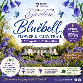 Bluebell - Flower and Fairy Trail image