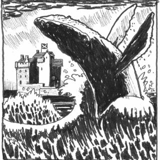 The Tale of the Great Tay Whale image