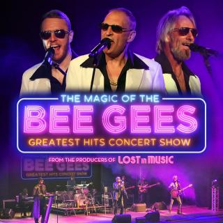 The Magic of the Bee Gees image