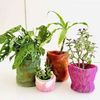 McManus Mondays: Creating Colourful Felt Pots image