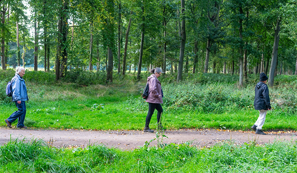 Leisure and Culture Dundee’s health project - Steps to Health – has been awarded Dementia Friendly Walking recognition Leisure and Culture Dundee’s health project - Steps to Health – has been awarded Dementia Friendly Walking recognition