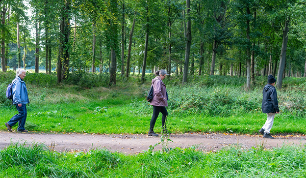 Leisure and Culture Dundee’s health project - Steps to Health – has been awarded Dementia Friendly Walking recognition