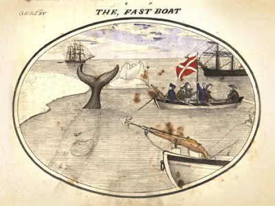 Dundee Libraries explore City's Maritimes Pasts and Futures image