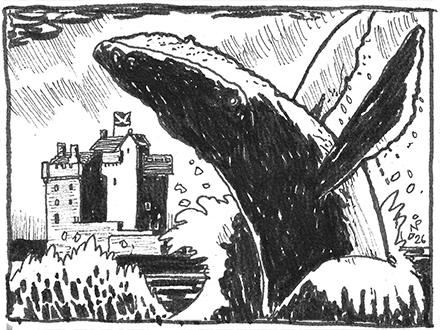 The Tale of the Great Tay Whale