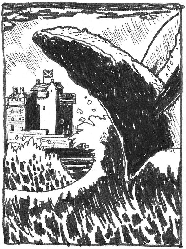 The Tale of the Great Tay Whale
