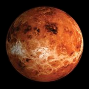 Venus Venus